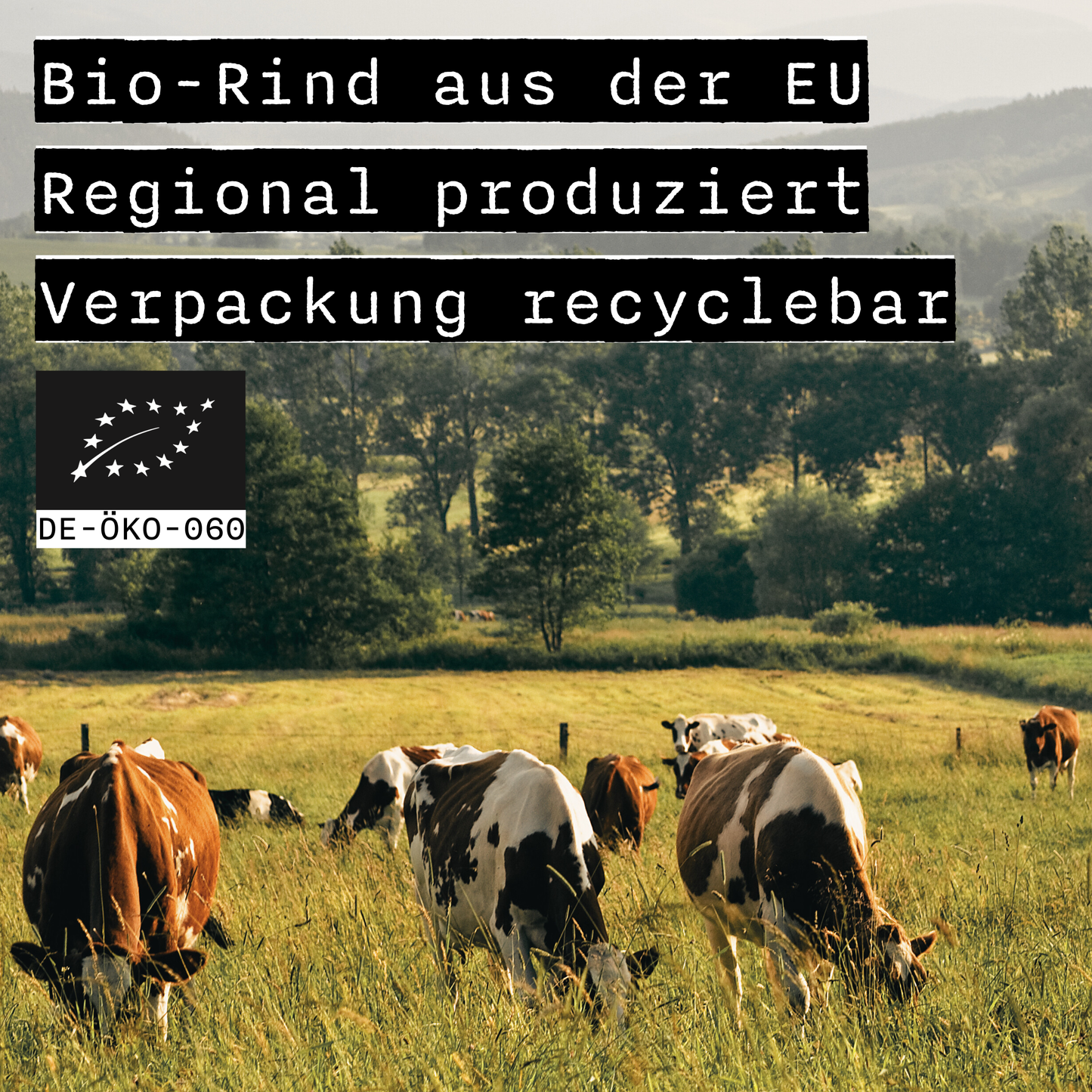 Organic Beef Sticks Original Spice 9x 32g